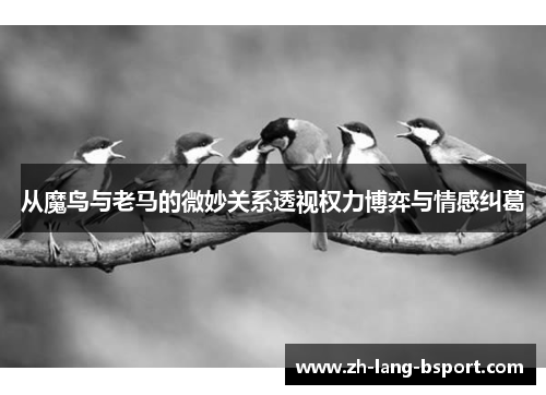 从魔鸟与老马的微妙关系透视权力博弈与情感纠葛 从魔鸟与老马的微妙关系透视权力博弈与情感纠葛