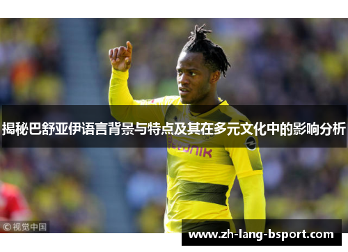 揭秘巴舒亚伊语言背景与特点及其在多元文化中的影响分析 揭秘巴舒亚伊语言背景与特点及其在多元文化中的影响分析