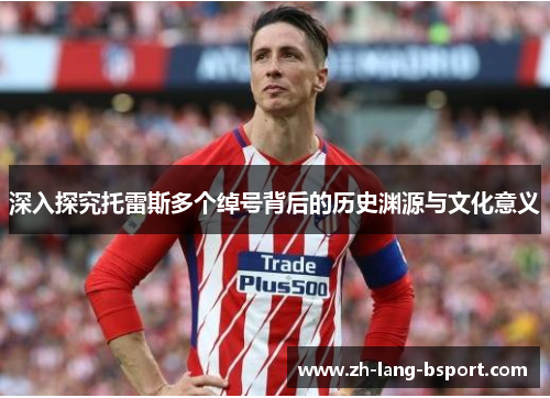 深入探究托雷斯多个绰号背后的历史渊源与文化意义 深入探究托雷斯多个绰号背后的历史渊源与文化意义